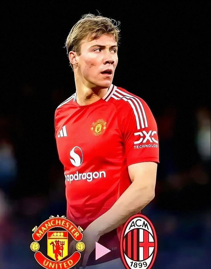 Mt, 尔开价约, 壮的中锋 Mt, 尔开价约, 壮的中锋